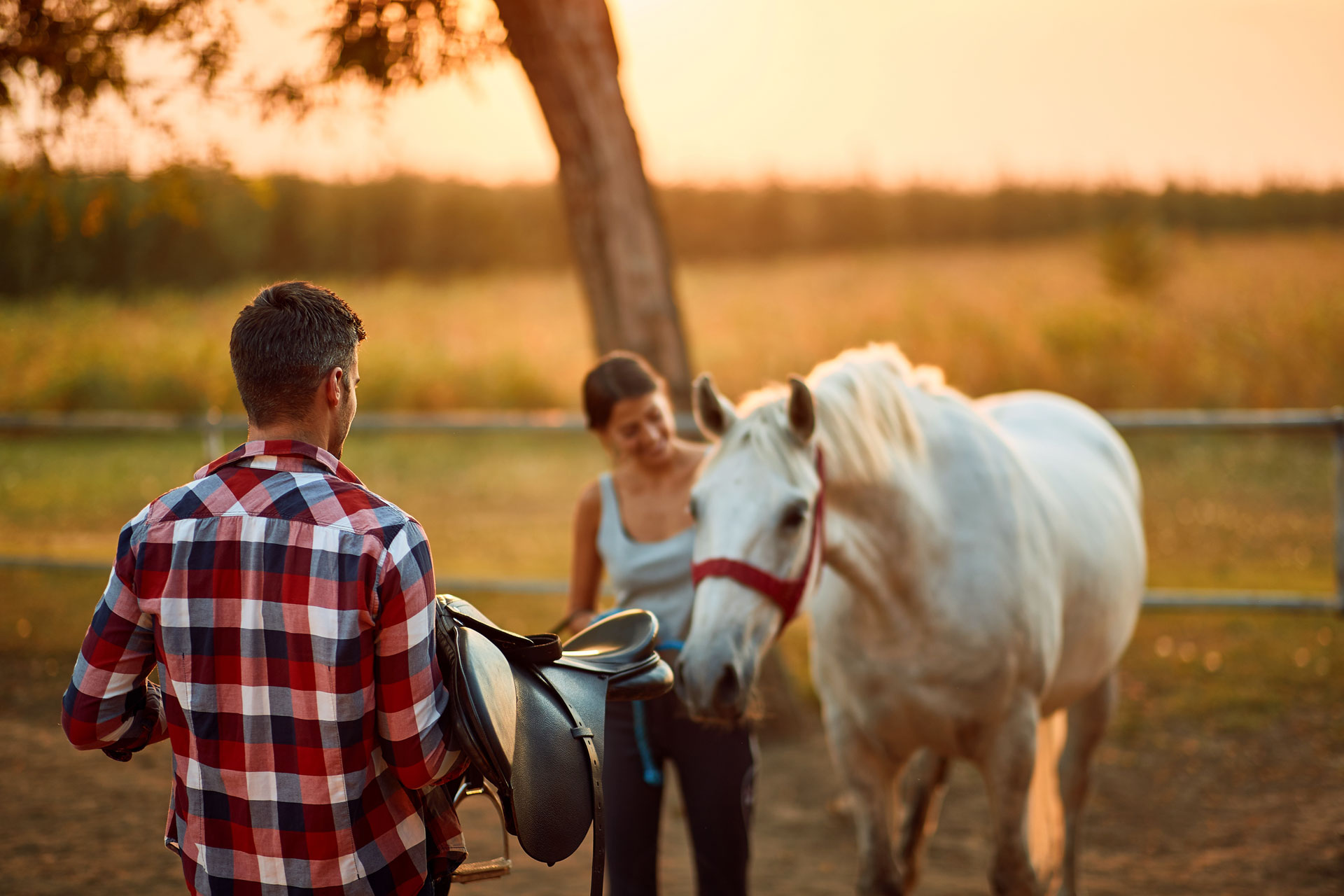 Man with saddle approaching a woman and horse, suggesting equine-assisted therapy Man with saddle approaching a woman and horse, suggesting equine-assisted therapy