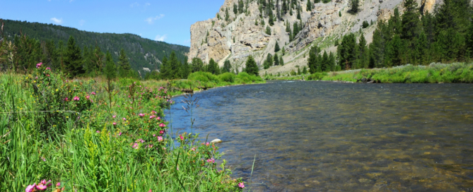 scenic river landscape possibly reflecting the journey of addressing cross-addiction or co-occurring disorders
