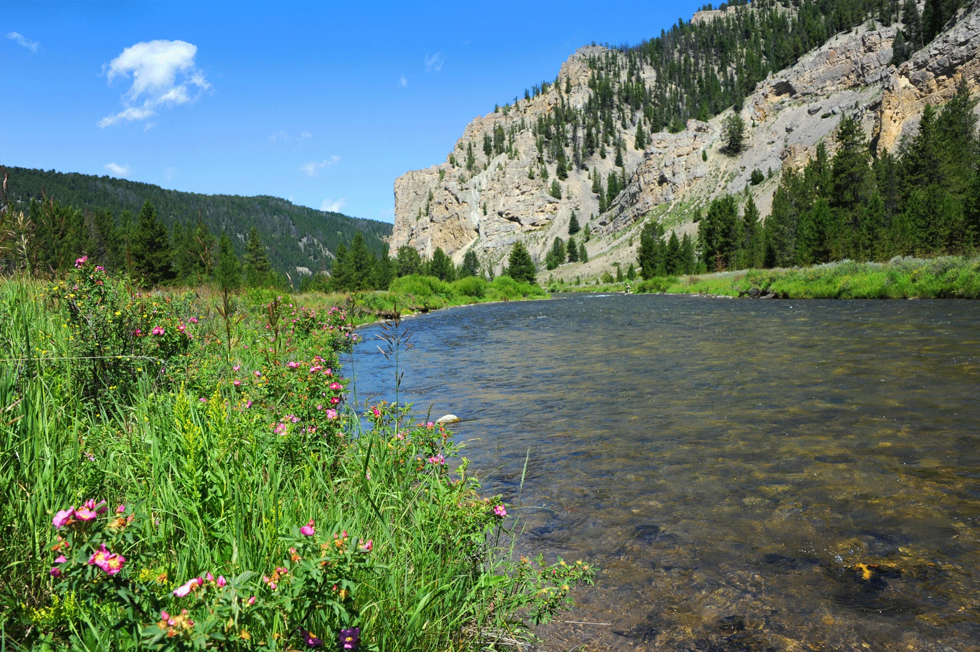 scenic river landscape possibly reflecting the journey of addressing cross-addiction or co-occurring disorders