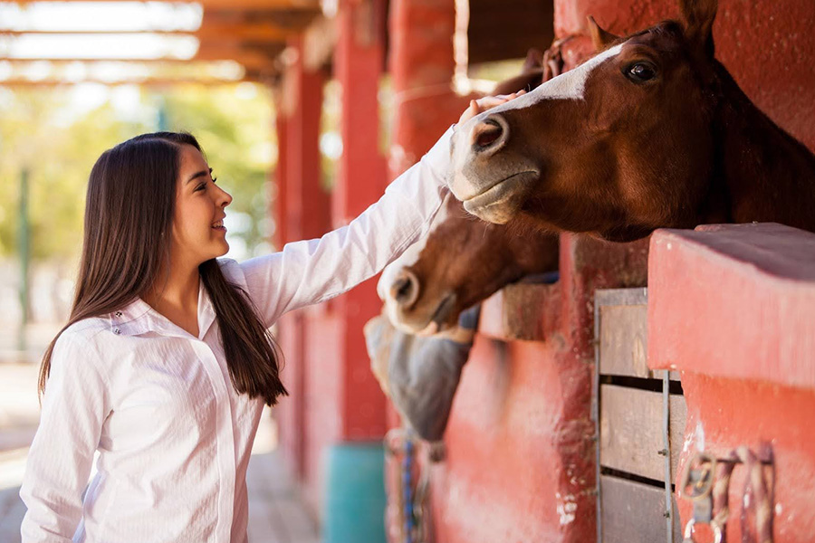 A Woman Smiles While Petting A Horse During Equine Therapy For Overcoming Opioid Addiction a woman smiles while petting a horse during equine therapy for overcoming opioid addiction