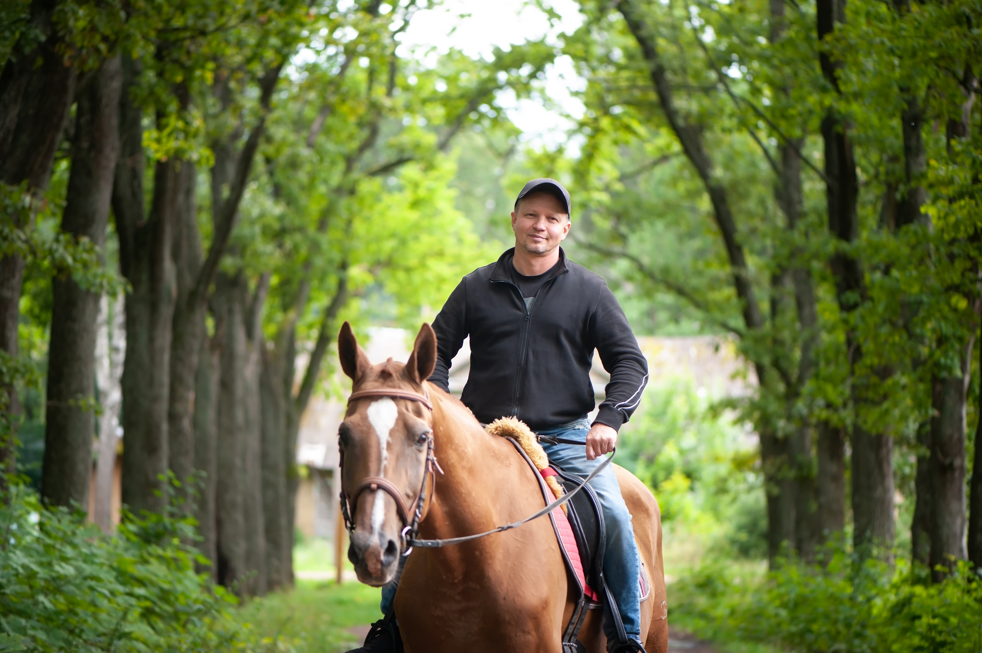 Adult male riding a horse during equine therapy