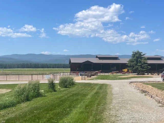 Big Sky Equestrian Facility big sky equestrian facility