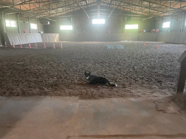Equine Therapy Program 20 big sky equestrian facility