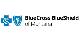 Insurance Verification 5 bcbs