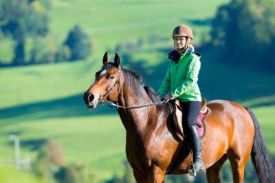 An equine-assisted psychotherapy