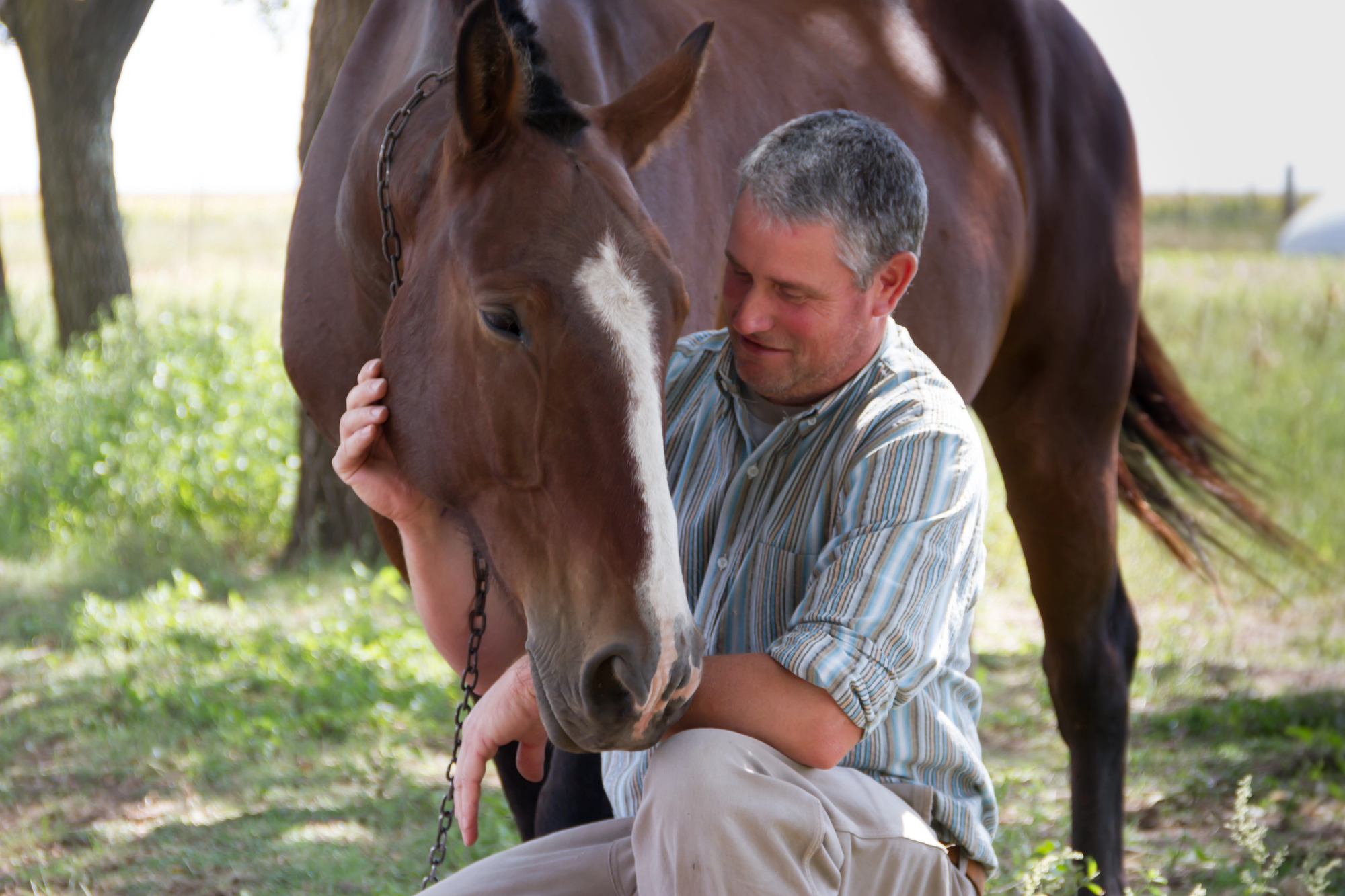 Veteran engaging in equine therapy as part of a holistic addiction treatment program.