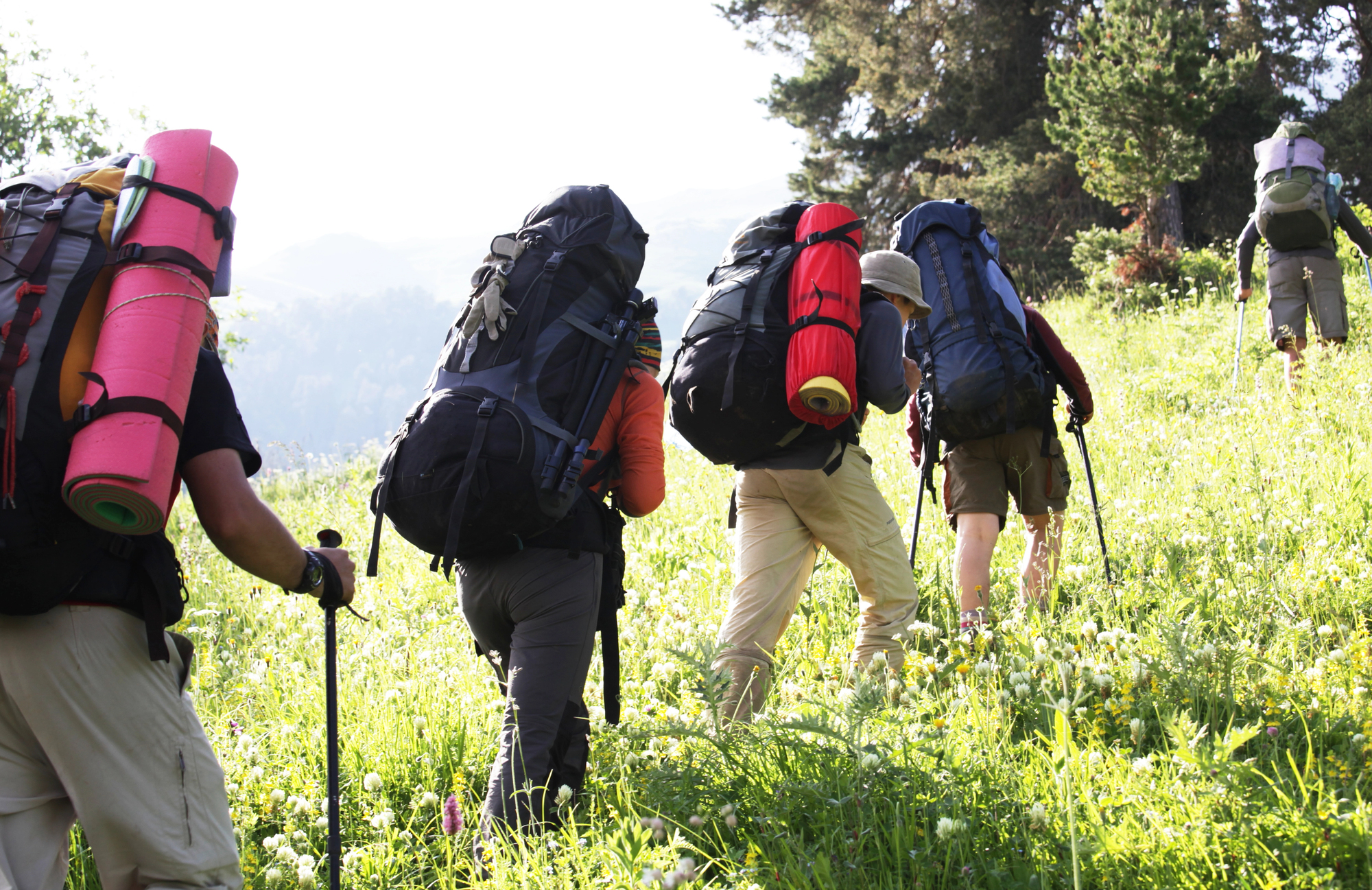 Group of individuals having an outdoor activity as part of their mental health treatment.