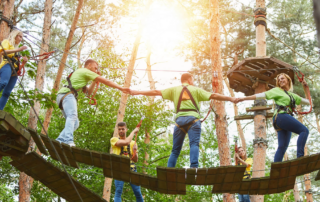 group of people participating in a forest adventure course in a team-building program