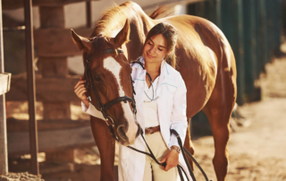veterinarian bonding with a horse in an equine-assisted therapy session