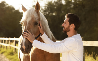 man gently touching a horse's face in animal-assisted therapeutic activity