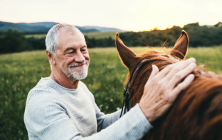 an elderly man and his horse, bathed in golden evening light, share a moment of gentle companionship.