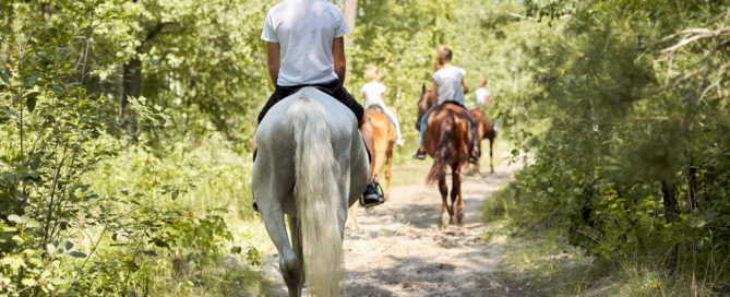 summer experiential therapy for teens - equine therapy