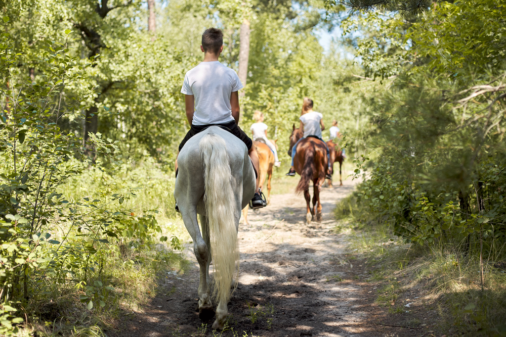 Summer Experiential Therapy for Teens - Equine Therapy
